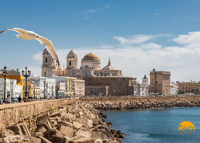 Teresa Uno By Time *